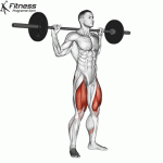 The 5 Strength Exercises You Need